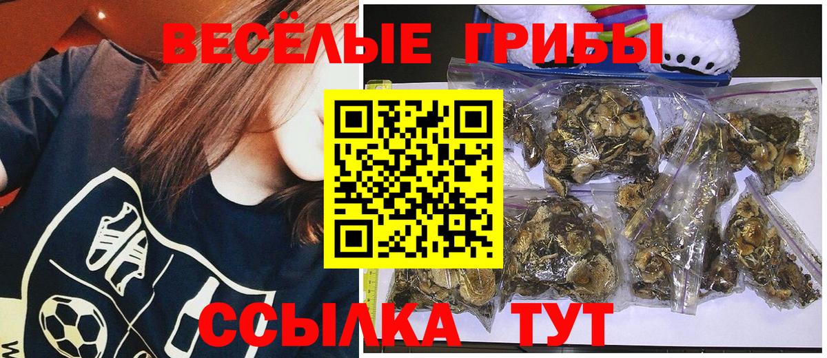 Псилоцибиновые грибы GOLDEN TEACHER Тамбов