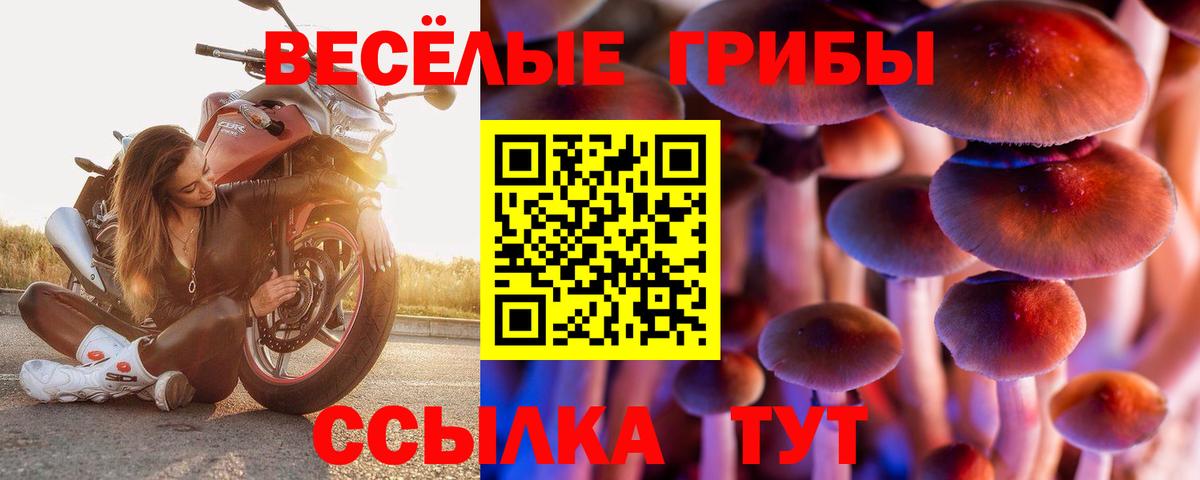 Тамбов  Псилоцибиновые грибы Cubensis  Вход с VPN  Псилоцибиновые грибы ЛСД 